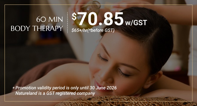 natureland-body-massage-jan-promo